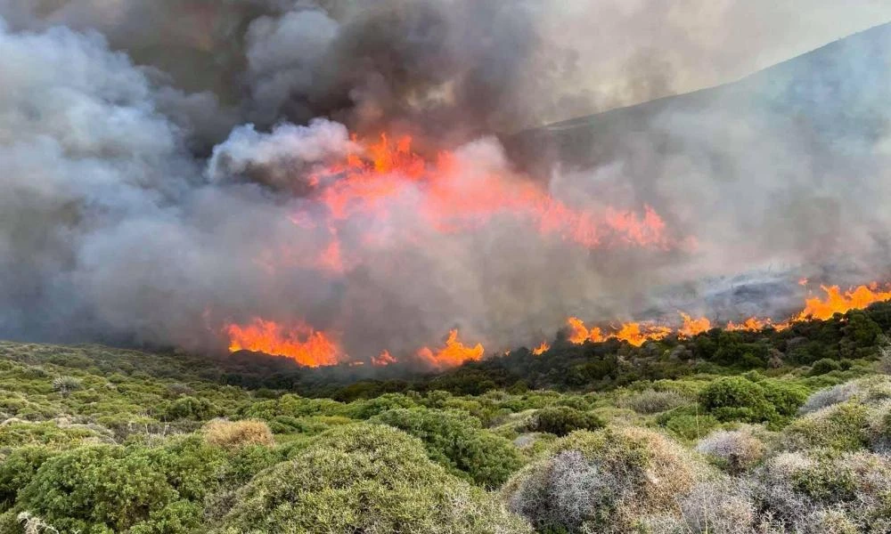 Μήνυμα εκκένωσης της περιοχής Γίδες στην Άνδρο λόγω της πυρκαγιάς